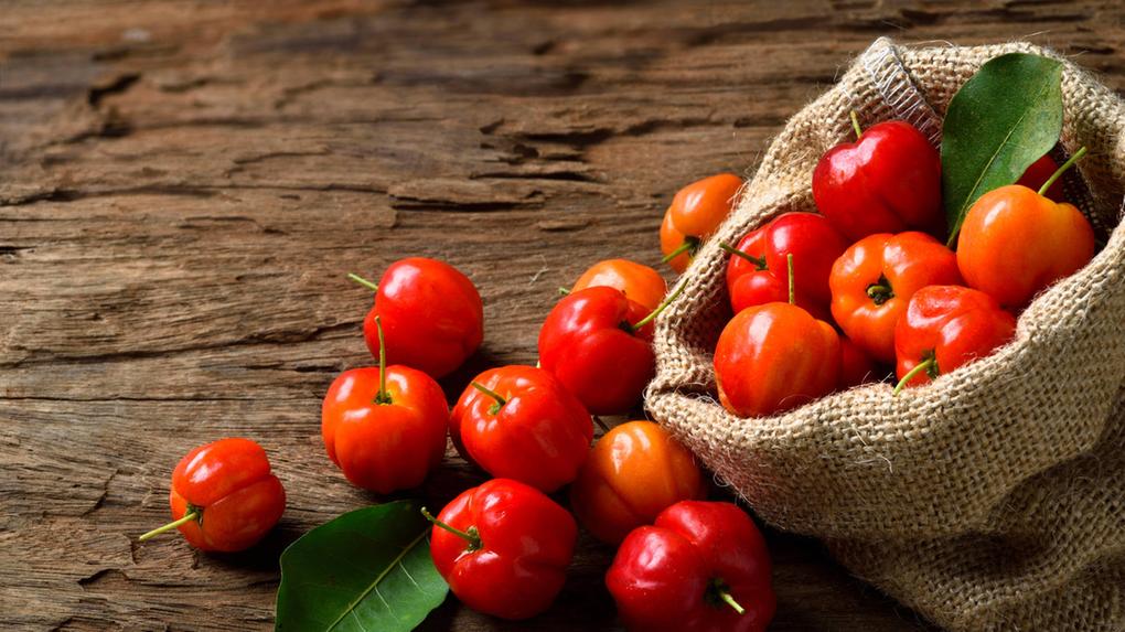 Acerola: veja benefícios, como plantar e como fazer suco - Ser Saúde ...